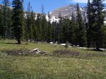 The snow covered hillside leading up to Arapaho Pass.