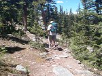 Tommy along the trail with Squaw Pass road visible through the trees below him.