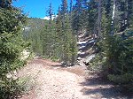About two-tenths of a mile into the hike you will cross an old gravel road.  Continue on up the trail on the other side.
