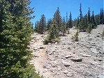 About a third of a mile into the hike, the scene changes as you approach a saddle between Papoose Mountain (el. 11,174 feet) and Chief Mountain.