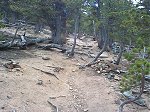 The trail gets a lot steeper here.  It may not look like it but the camera was held parallel to the horizon when taking this photo.