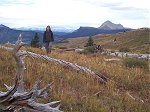 Terese passing through one of the lower mountain meadows.  If you look closely at the larger click-through image you can see a flock of domestic sheep behind her in the meadow on the right.