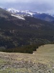 The meadow containing elk. The meadow containing elk.