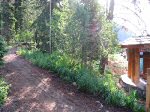 The trailhead with the parking lot slightly visible on the right.
