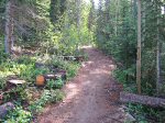 The trail starts out through a firewood cutting area.  I suspect this is related to the Pine Beetle outbreak in the area.