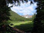 ... then out of the trees.  There's Pettingell Peak directly ahead.