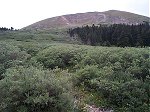 Mouseover this image to see my trip up the left ridge to the summit highlighted in yellow.