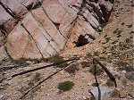 Rusting rails lead to the entrance of an abandoned mine high up on the mountain.