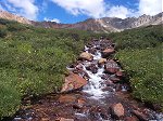 Again, looking north up the valley - this time from the middle of a lush creek.