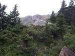 After the rain and lower down the Halfmoon Creek trail, this photo was taken looking back up on the southwest shoulder of Massive.