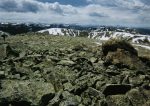 Looking west with the Elk Mountain Range on the horizon.