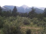 A good view of the sub-peak and Mount Princeton (almost hidden by the tree right-center) from the road off the mountain.