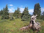 Solitude - just minutes away from Vail Pass.