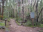 About five minutes into the hike is the Wilderness boundary.