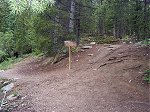 Just over a mile into the hike you have a choice of going left towards Browns Pass and Hartenstein Lake or right up to Mount Yale.